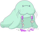 ゼイジャッキー_OS Command Injection