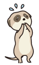 icon_gimon