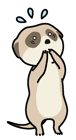 icon_aseri