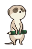 icon_normal