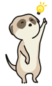 icon_normal